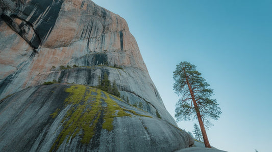 DTF Transfers for National Parks: Celebrate America's Treasures with EazyDTF