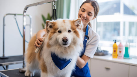 DTF Transfers for Pet Grooming Businesses: Create Custom Apparel with EazyDTF