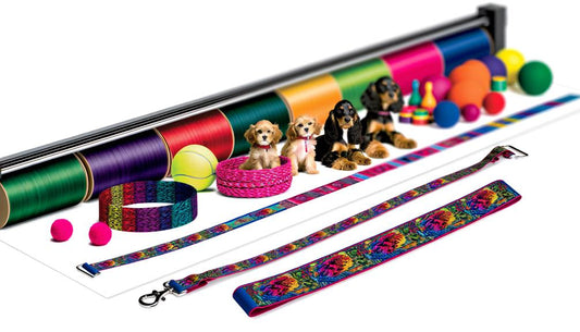 DTF Printing for Pet Products: Market and Opportunities
