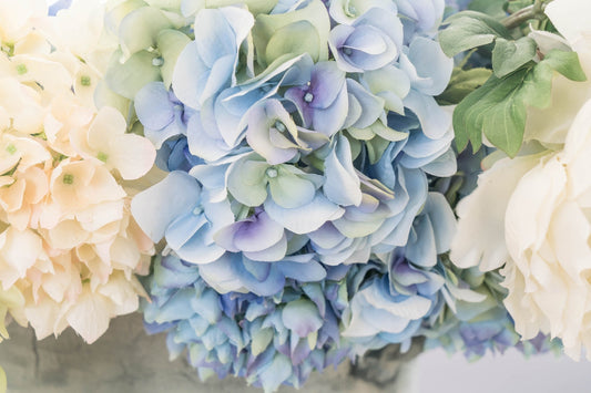 A floral arrangement with soft hydrangea comfort colors.