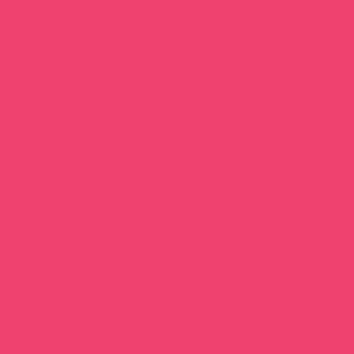 EconoPuff - Neon Pink 20" x 12"